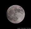 moon15032014_t1.jpg