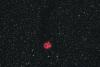 IC 5146 Mgławica Kokon