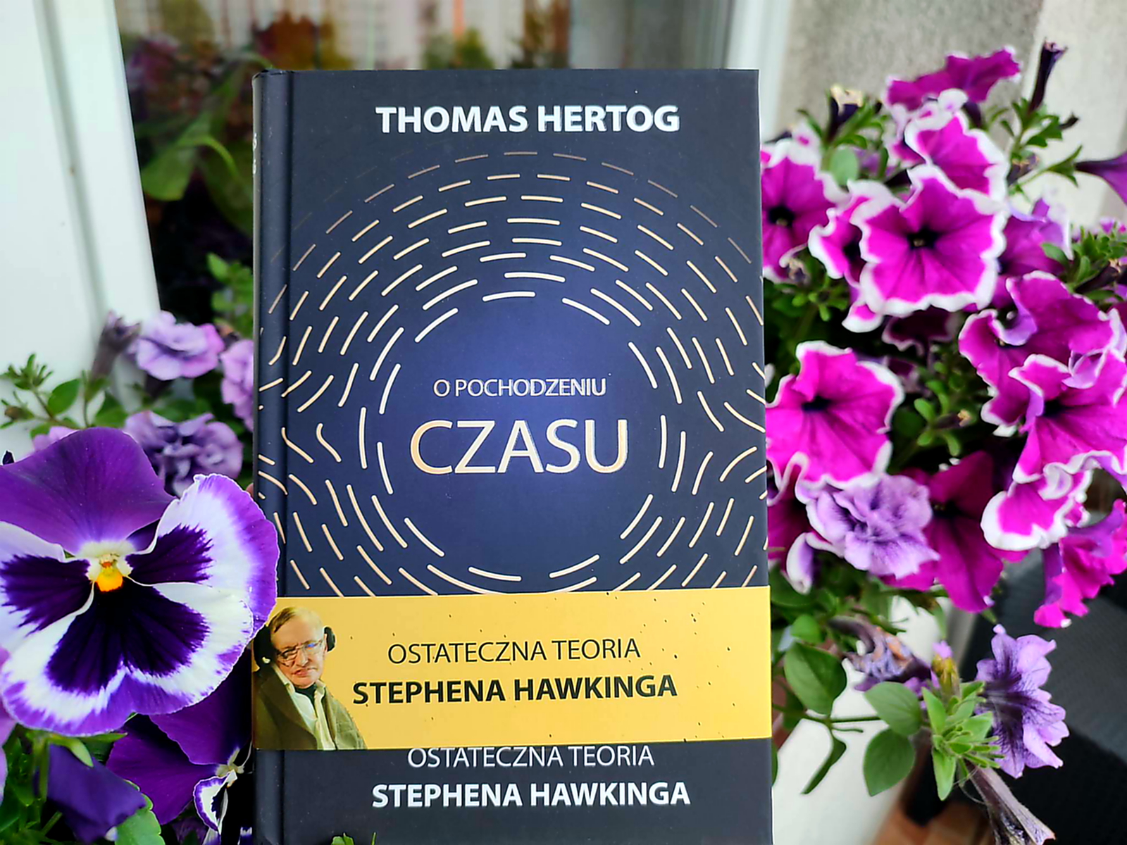 Ostateczna teoria Stephena Hawkinga - Recenzja