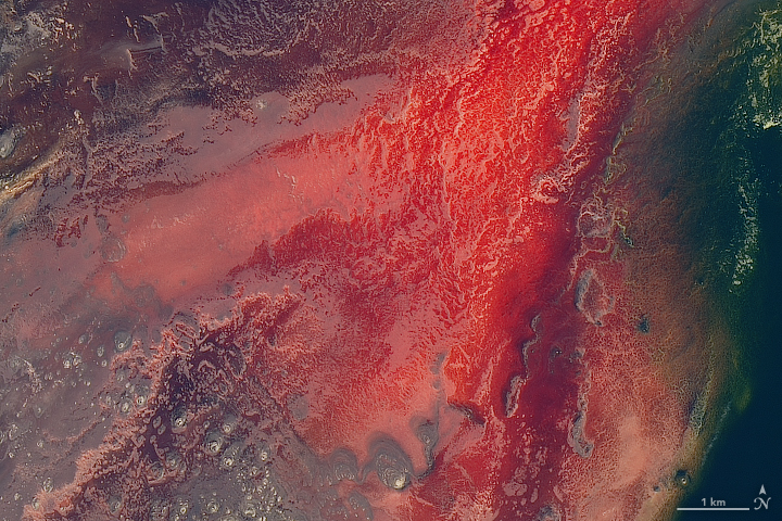 Autor: astronomia24