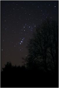 W czasie spaceru