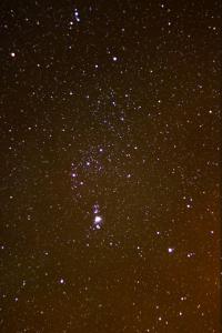 Orion