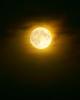 Supermoon 10.08.2014