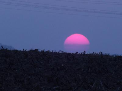 zachodzące słońce ,Rybno Wielkie,dn.20-02-2015,godz.17:06