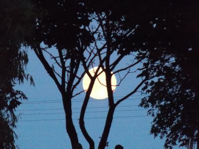 31.07.2015,20:55,NIEBIESKI KSIĘŻYC,zajrzał do Rybna Wielkiego,Wielkop.