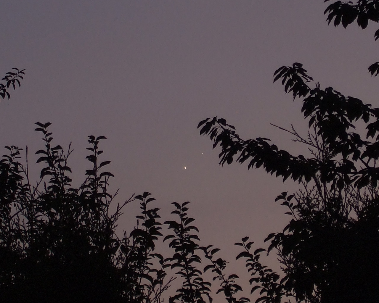 Astronomia24