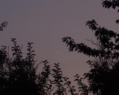 Koniunkcja Jowisz i Wenus 01.07.2015
