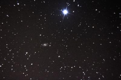 Galaktyka M109