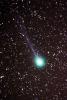 lovejoy_08022015_t1.jpg