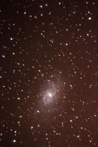 M 33