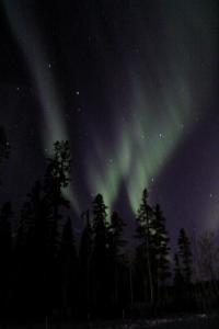 Aurora Borealis Canada