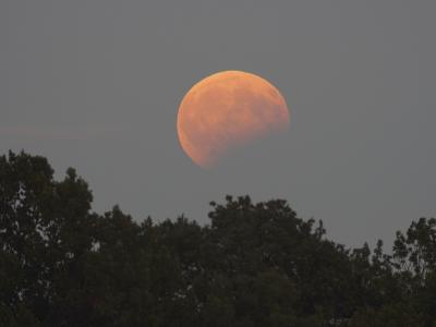 Częściowe zaćmienie księżyca