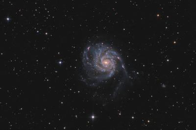 M 101