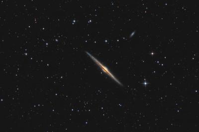 NGC 4565