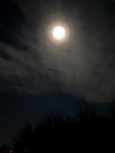 2020-03-08 Księżyc z halo,Rybno Wielkie.Wlkp.