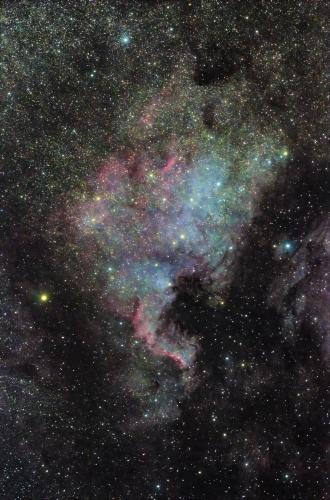 NGC7000 Ameryka Północna